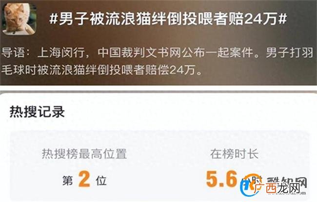 男子被流浪猫绊倒投喂者赔24万 构成饲养关系的原因
