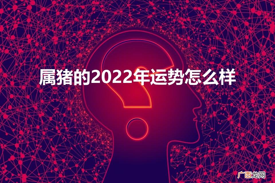属猪的2022年运势怎么样（1971属猪人2022年全年运势及运程)