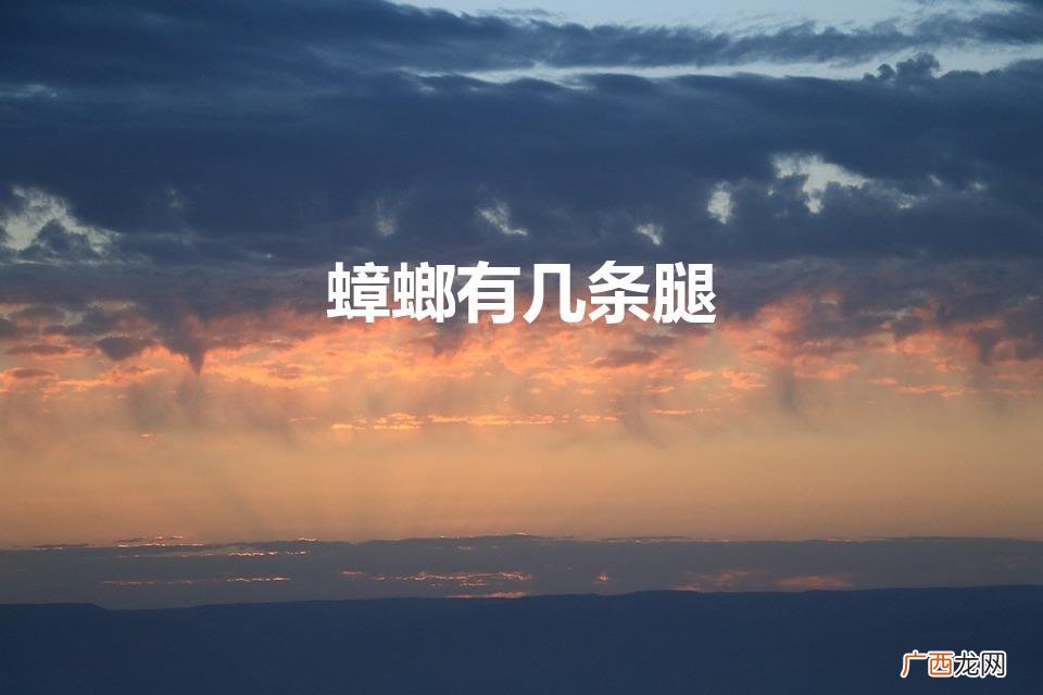 蟑螂有几条腿﹖ 蟑螂有几条腿