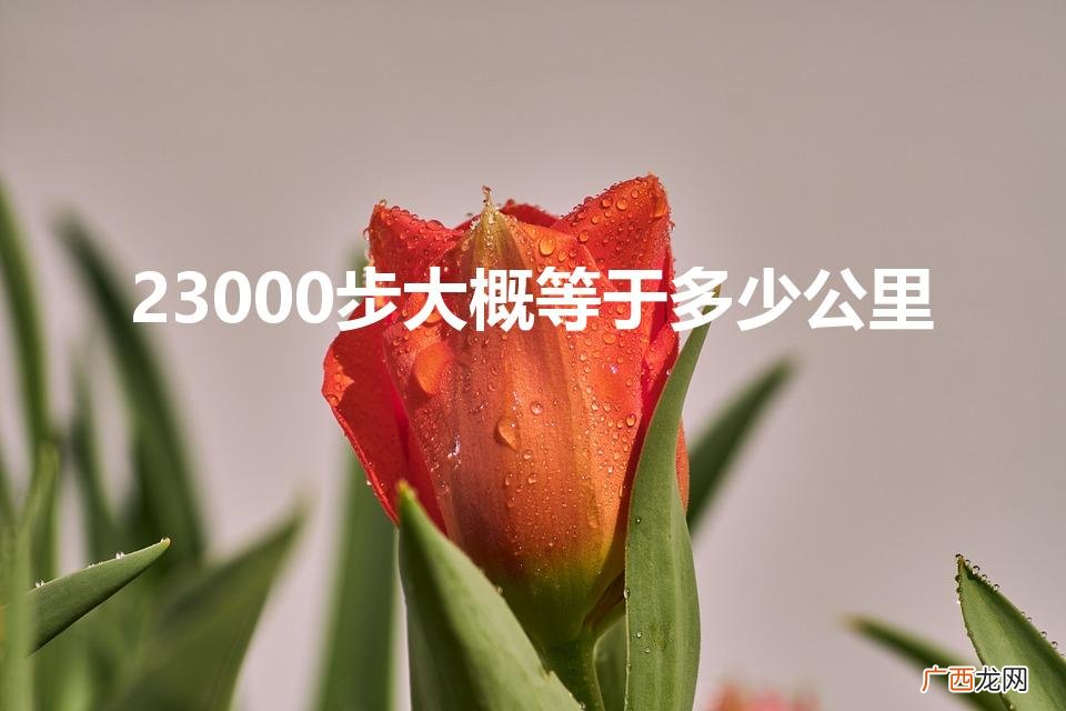 23000步约等于多少公里? 23000步大概等于多少公里