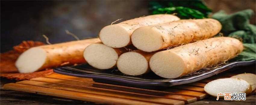 有哪些食物对养胃比较好 养胃的都有什么食物