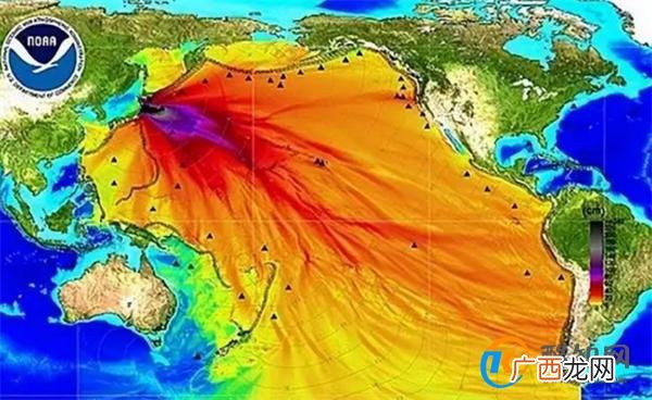台湾查出日本鱼类致癌物超标40倍 原因是什么