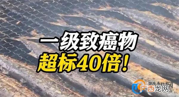 台湾查出日本鱼类致癌物超标40倍 原因是什么