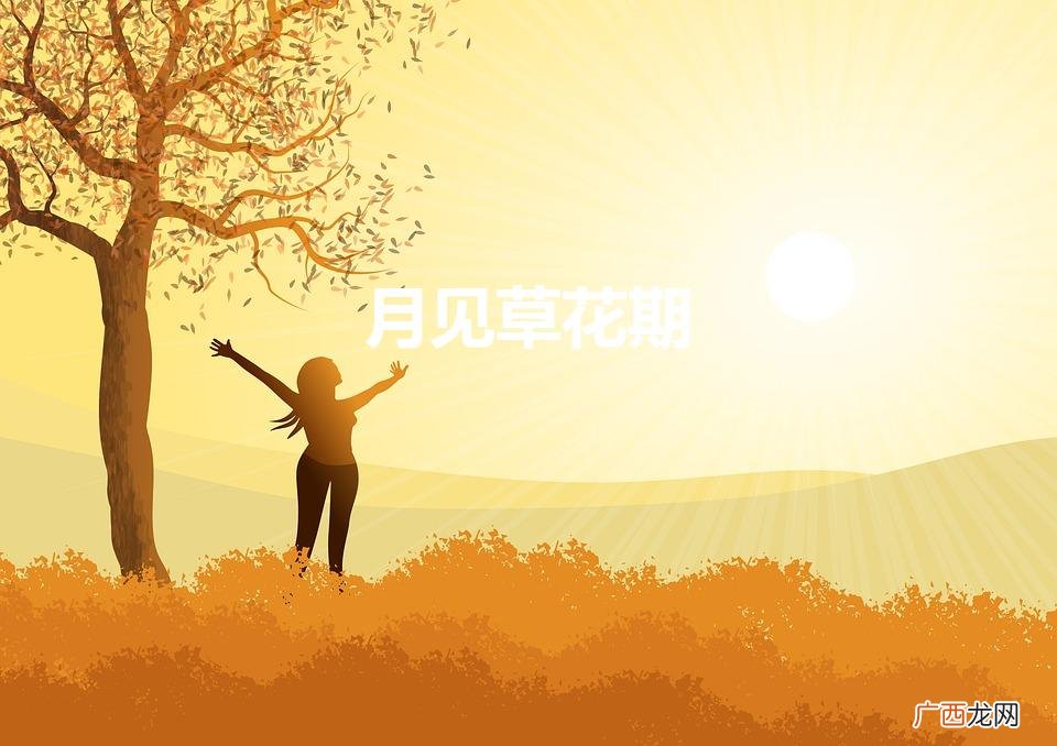 月见草是什么植物 月见草花期