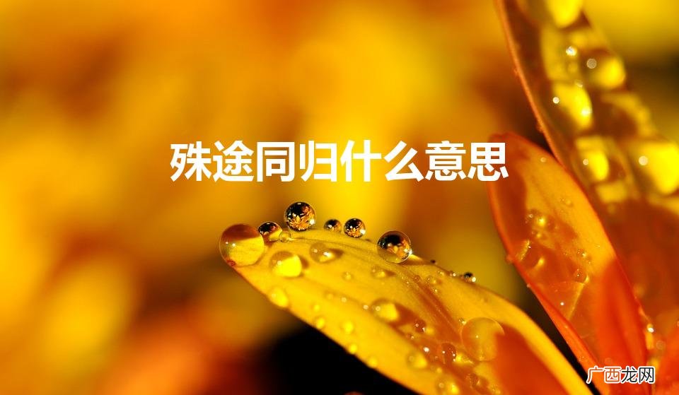 殊途同归是什么意思啊 殊途同归什么意思