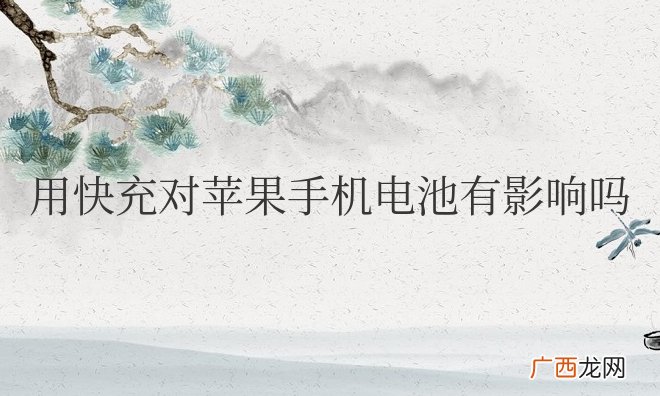 用快充对苹果手机电池有影响吗