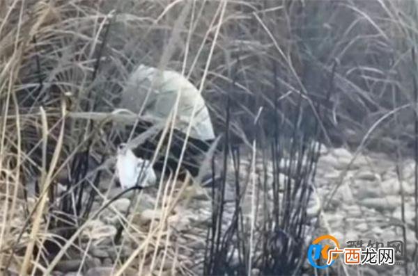 网友用无人机发现老人点燃茅草丛 火灾的危害