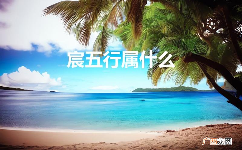 宸五行属什么属性 宸五行属什么
