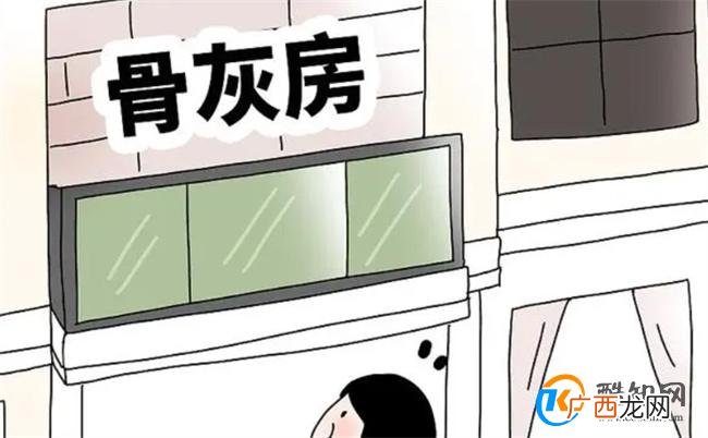 律师称“骨灰房”或涉嫌违法 骨灰房是什么
