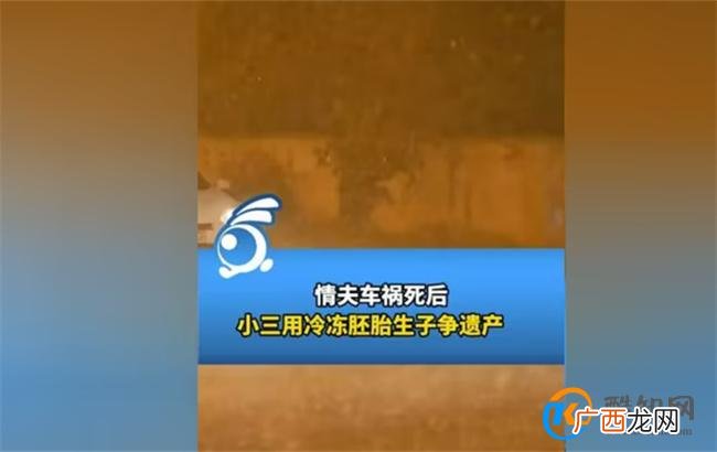 情夫死后小三用冷冻胚胎生子争遗产 法院驳回女子诉求