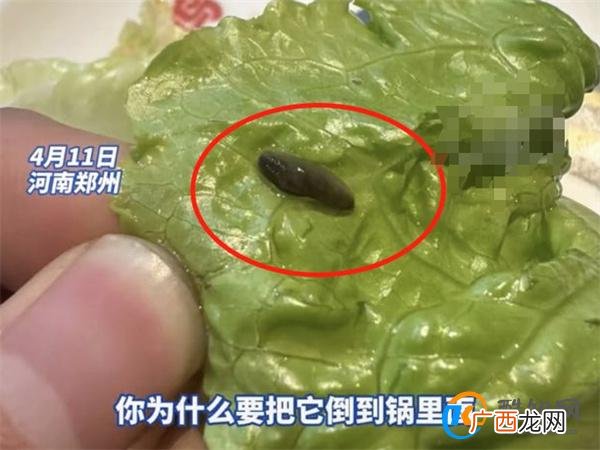 就餐时吃出虫子 店员：有虫子才新鲜 如何加强食品安全