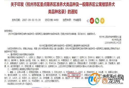 女子在小区车库遇到1米多高阿富汗猎犬 遇到猎犬怎么办