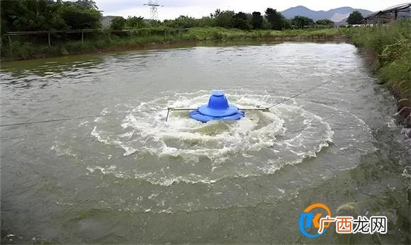 江西一水库水面惊现8米大圆气泡 气泡形成原因